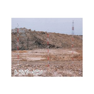 画像3: トラバーピン