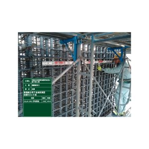 画像4: ニューアルロッドプラス　P2.0M SET 223353
