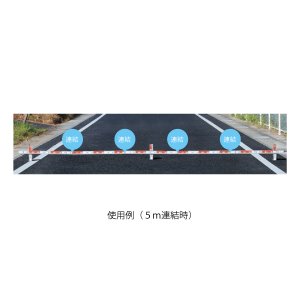 画像5: ニューアルロッドプラス　P2.0M SET 223353